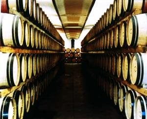 Tenuta della Ornellaia