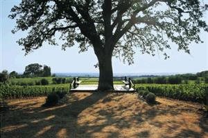 Tenuta della Ornellaia